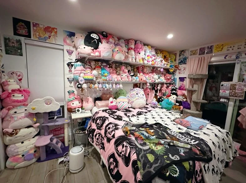 Squishmallow Bedroom