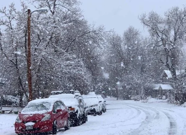 Snowfall and Precipitation Patterns