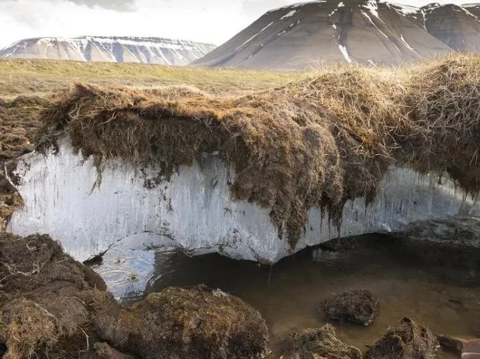 The Role of Permafrost